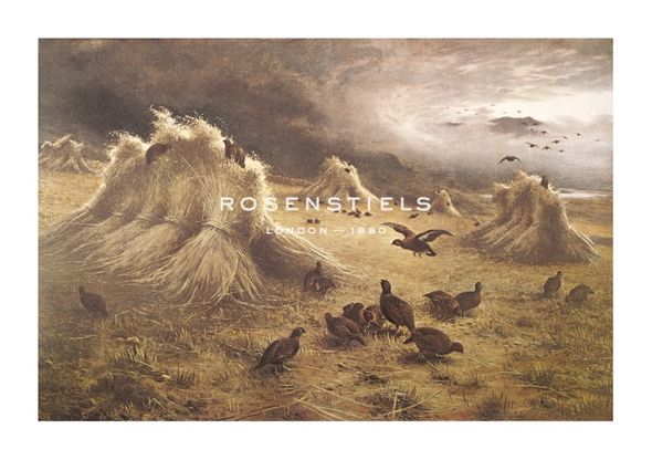 Joseph Farquharson Hand Numbered Limited Edition Print on Paper :"Highland Raiders (The Grouse At Home)"