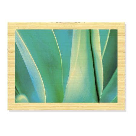 Joy Doherty Limited Edition Ready to Hang Giclee on: "Agave III"