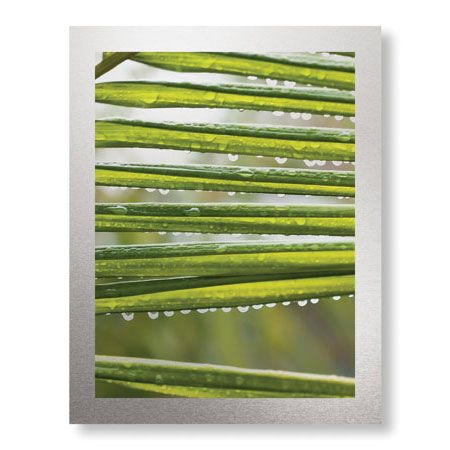 Joy Doherty Limited Edition Ready to Hang Giclee on Brushed Aluminum: "After the Rain I"