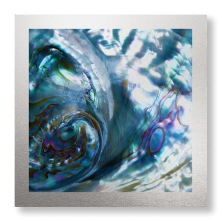 Joy Doherty Limited Edition Ready to Hang Giclee on Brushed Aluminum: "Iridescent Shell II"