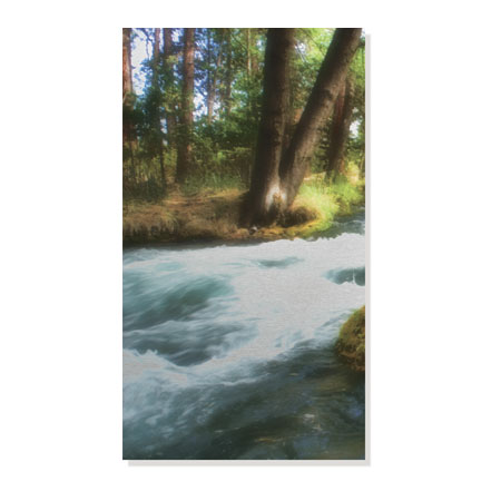 Joy Doherty Limited Edition Ready to Hang Giclee on Brushed Aluminum: "Serenity Stream I"