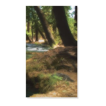 Joy Doherty Limited Edition Ready to Hang Giclee on Brushed Aluminum: "Serenity Stream III"