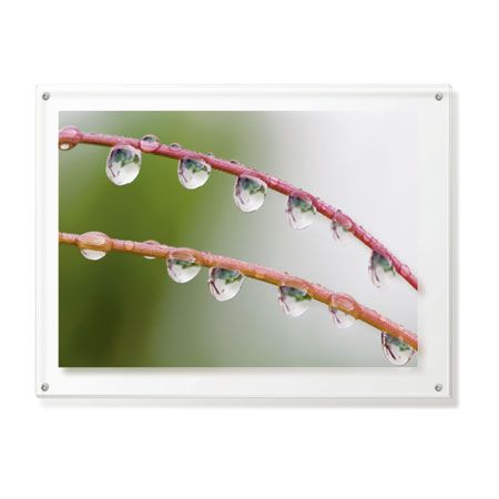 Joy Doherty Limited Edition Ready to Hang Giclee on Clear Acrylic: "Wild Grasses II"