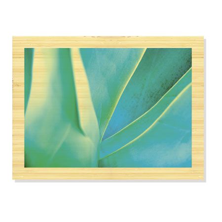 Joy Doherty Limited Edition Ready to Hang Giclee on Sustainable Bamboo: "Agave I"
