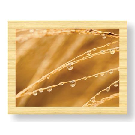 Joy Doherty Limited Edition Ready to Hang Giclee on Sustainable Bamboo: "Morning Dew I"