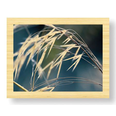 Joy Doherty Limited Edition Ready to Hang Giclee on Sustainable Bamboo: "River Grasses II"