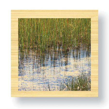Joy Doherty Limited Edition Ready to Hang Giclee on Sustainable Bamboo: "River Reeds I"