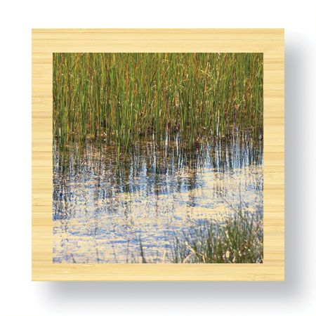 Joy Doherty Limited Edition Ready to Hang Giclee on Sustainable Bamboo: "River Reeds I"