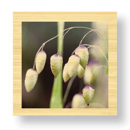 Joy Doherty Limited Edition Ready to Hang Giclee on Sustainable Bamboo: "Serendipity"