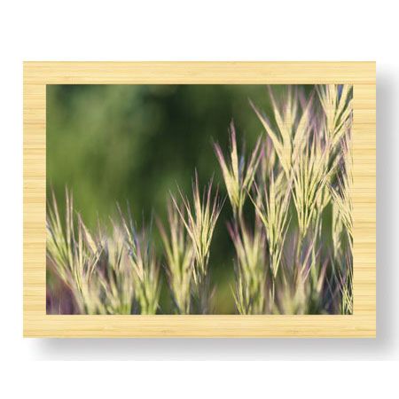 Joy Doherty Limited Edition Ready to Hang Giclee on Sustainable Bamboo: "Thistle Down II"