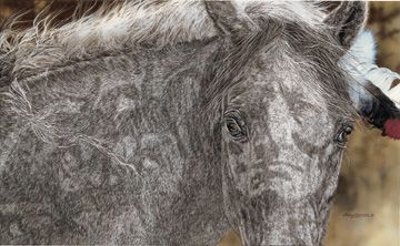 JUDY LARSON 15X24 Secondary Market Art: "RED HORSE"