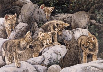JUDY LARSON 18X25 Secondary Market Art: "CHILDS PLAY"