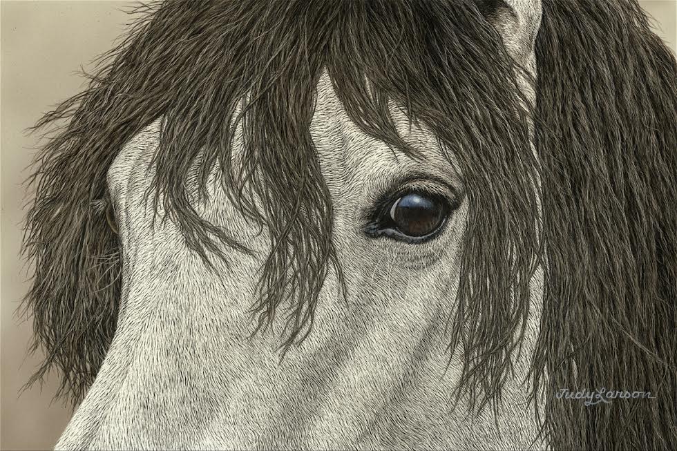 Judy Larson Artist Signed Limited Edition Gallery Wrap Canvas Giclee:"Long Ago and Far Away"