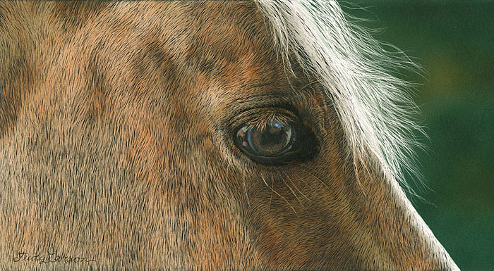 Judy Larson Hand Signed and Numbered Limited Edition Canvas Giclee:"Golden"