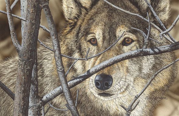 Judy Larson Hand Signed and Numbered Limted Edition Gicl&eacute;e Canvas:"Hiding in Plain Sight"