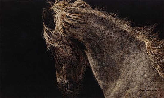 Judy Larson Handsigned and Numbered Limited Edition :"Fire and Flight"