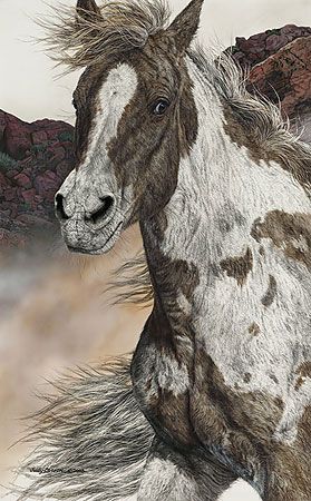 Judy Larson Handsigned and Numbered Limited Edition Print :"Air and Escape"