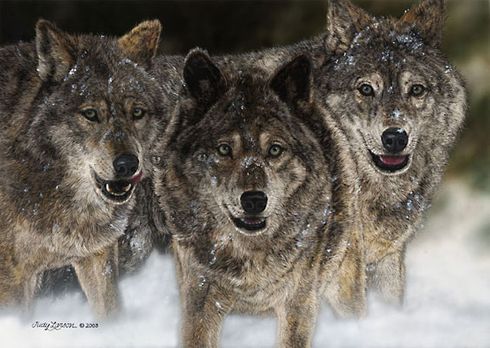 Judy Larson Handsigned & Numbered Limited Edition Print:"The Pursued "