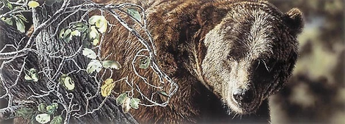 Judy Larson Signed and Numbered Limited Edition Lithograph: "Family Tree"