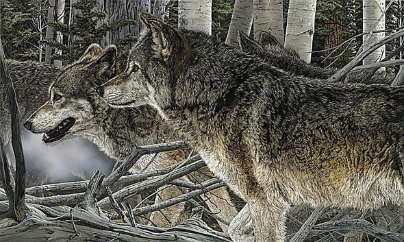Judy Larson Signed and Numbered Limited Edition Lithograph: "Kinship"