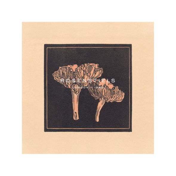 Julie de Graag Hand Numbered Limited Edition Print on Paper :"Funghi Collector"