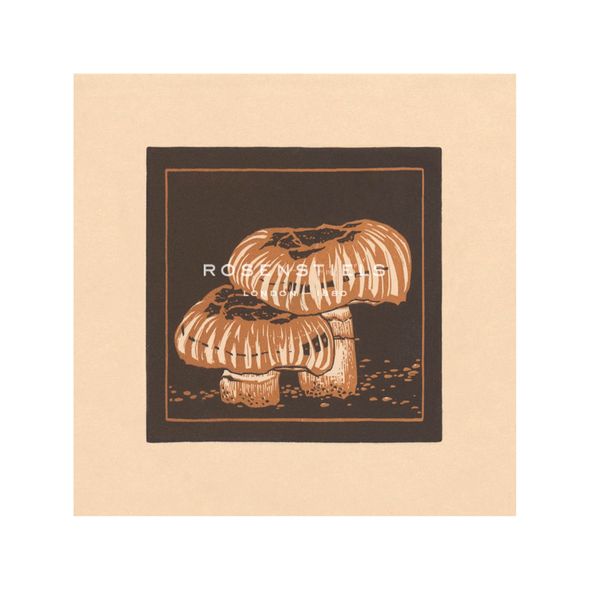 Julie de Graag Hand Numbered Limited Edition Print on Paper :"Funghi Forager"
