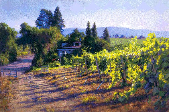 June Carey Handsigned & Numbered Limited Edition Fine Art Gicl&eacute;e Canvas:"My Sonoma"