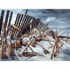 Gallerydirectart