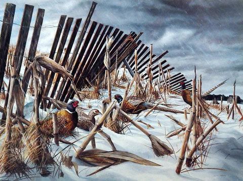 Kevin Daniel Print-Signed and Numbered:"A Break in the Storm"