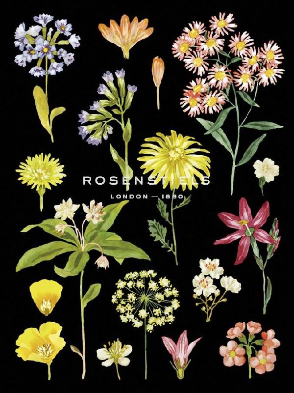 Kristine Hegre 30 x 40 in. Open Giclee Canvas"Flower Press" Kristine