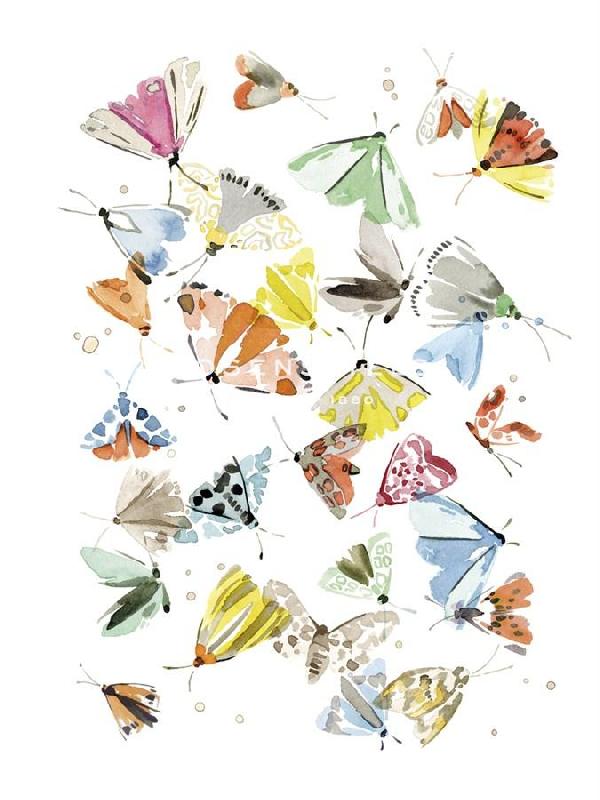 Kristine Hegre 30 x 40 in. Open Giclee Canvas:"Iridescent Perfection"