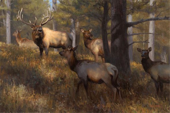 Kyle Sims Hand Signed and Numbered Limited Edition Giclee: "In the Middle of Things"
