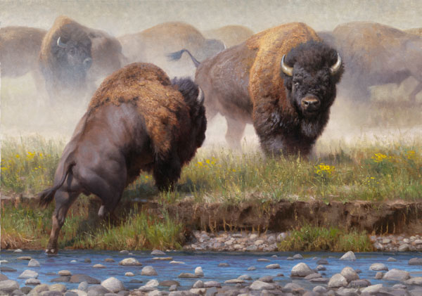 Kyle Sims Hand Signed and Numbered Limited Edition Giclee Print: "Yellowstone Face Off"