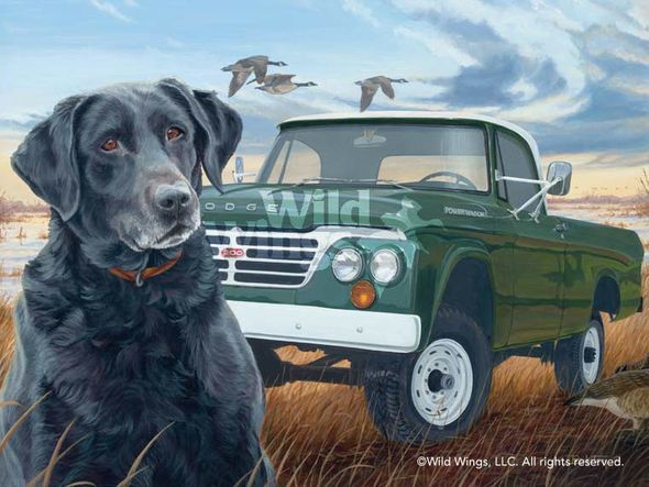 Larry Beckstein Open Edition Framed Print: "Old Dependable-Black Lab"