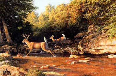 LARRY DYKE 17X26 Secondary Market Art: "SWIFT RETREAT"