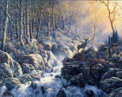 LARRY DYKE 19X24 Secondary Market Art: "REVEALING LIGHT"