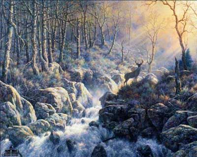 LARRY DYKE 19X24 Secondary Market Art: "REVEALING LIGHT"
