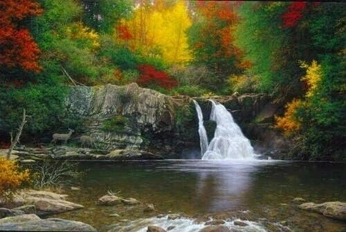 Larry Dyke Signed and Numbered Limited Edition Canvas Giclée Print: "Autumn in the Smokies" Larry Dyke Signed and Numbered Limited Edition Canvas Giclée Print: "Autumn in the Smokies"