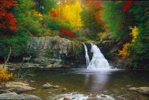 Larry Dyke Signed and Numbered Limited Edition Canvas Giclée Print: "Autumn in the Smokies"