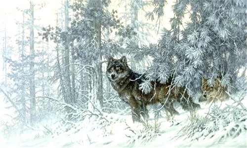 Larry Fanning Signed and Numbered Limited Edition Lithograph: "Phantom Of The North"