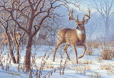 LARRY ZACH  Secondary Market Art: "WINTER SUNRISE WHITETA"