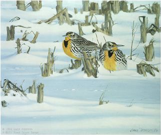 Lars Johnson Limited Edition Paper Print:"After The Blizzard - Western Meadowlarks"