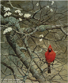 Lars Johnson Limited Edition Paper Print:"Signals Of Spring"