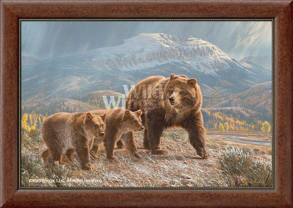Lee Kromschroeder Framed Canvas: "Under the Sleeping Giant-Bears"