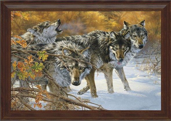 Lee Kromschroeder Framed Gallery Canvas: "Body Language-Timberwolf"