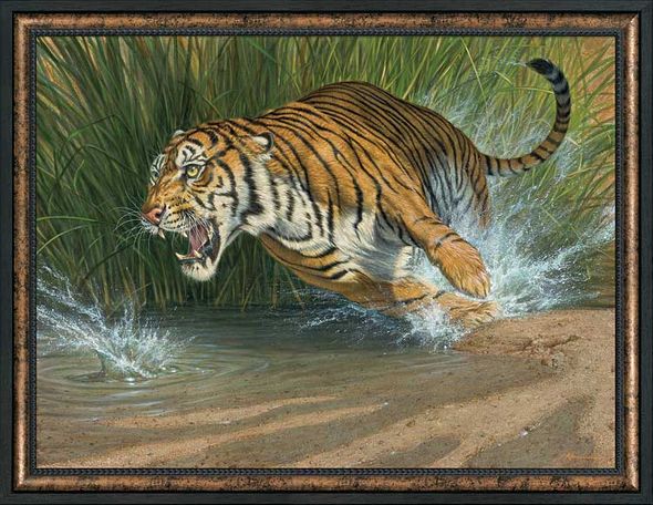 Lee Kromschroeder Framed Limited Edition Canvas: "Unleashed-Tiger"