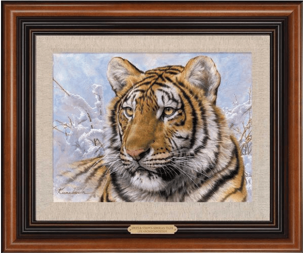 Lee Kromschroeder Framed Premier Giclee Canvas:"Spots and Stripes - Siberian Tiger"