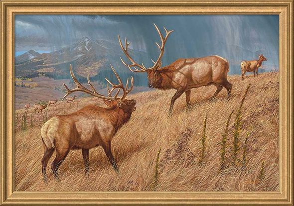 Lee Kromschroeder Hand Signed and Numbered Framed Canvas:"Storm Brewin'-Elk"