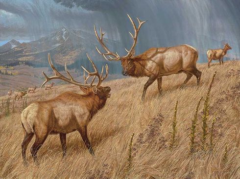 Lee Kromschroeder Hand Signed and Numbered Limited Edition Premier Canvas Giclee:"Storm Brewin'-Elk"