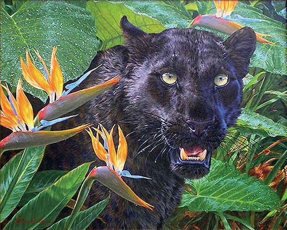 Lee Kromschroeder Handsigned and Numbered Limited Edition Giclee on Canvas:"Trouble in Paradise-Black Leopard "